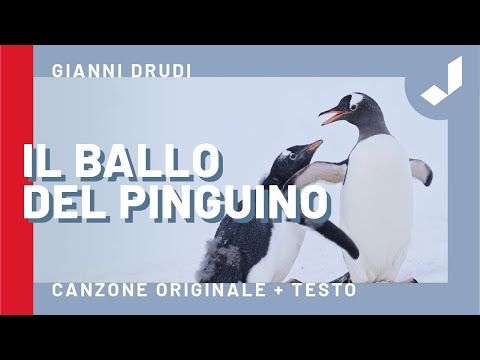 IL BALLO DEL PINGUINO - Gianni Drudi