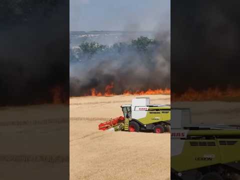 тракторист и комбайнёр спас поле