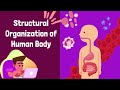 Levels of Structural Organization in Biology