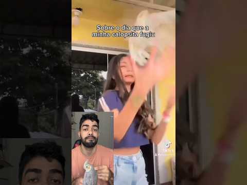 Calopsita fugiu das mãos dela na varanda #calopsitas #calopsita