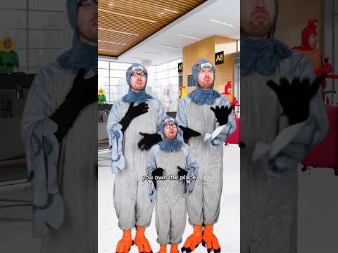 Migrating Birds Border Control #comedy #birds #animals #nature #shorts