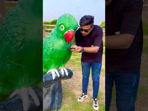 Jadui Toota nay video viral kerdi? Osama Official ? #viralvideo #shortvideo #reels #funny