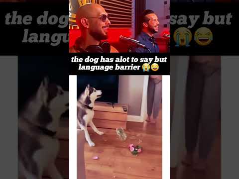 the dog is like let me tell u something let me tell u something ๐๐๐