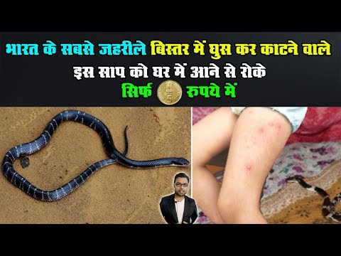साप को कमरे या बिस्तर में घुसने से रोके इस Trics से | Sabse jahrila saap | Kumar’s Ayurvedic Gyan