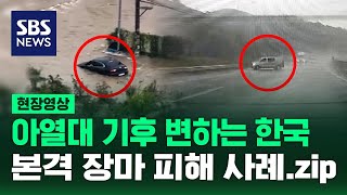 다 알고 있는 이야기라고? 그래도 사고 안 나게 한 번 더 숙지하자! (현장영상) / SBS