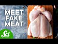 Understanding Fake Meats