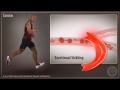 Sickle Cell Trait in Athletes