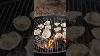 Chargrilled Oysters With Bacon Parmesan Butter - Best Grilled Oysters Recipe #shorts #bbq
