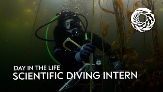 DITL of a scientific diving intern at the Monterey Bay Aquarium