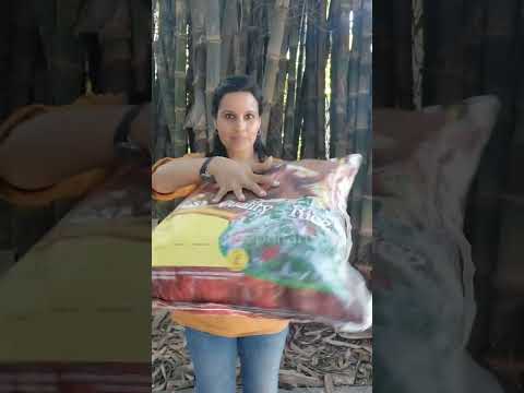 Free dog bed #peepalfarm #peepalfarm