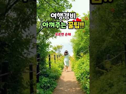 할인 받고 여행해요🌟디지털관광주민증🌟