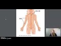 Brain Functions and Anatomy