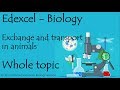 Human Body Systems and Functions
