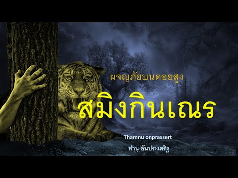 ๑๘๔. สมิงกินเณร ผจญภัยบนดอยสูง
