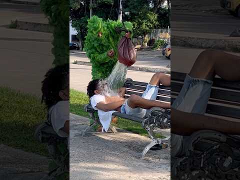 #viralvideo la mata acuática