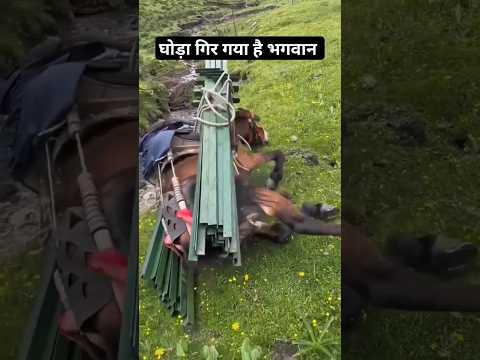 Pura Ghoda Gir Gya || Bahut Khatarnak Load || Uttarakhand India || Pahadi Hills