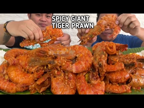 SPICY GIANT TIGER PRAWN | MUKBANG PHILLIPPINES | COLLABORATION W/ @BISAYA STUDIO