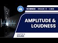 Understanding Sound: Amplitude and Loudness