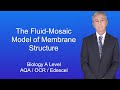 Cell Membrane Structure and Function