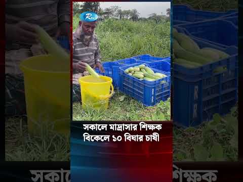 সকালে মাদ্রাসার শিক্ষক বিকেলে ১০ বিঘার চাষী #shortvideo