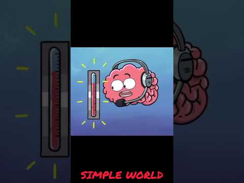 எக்ஸ்ஃப்பைட் பால் குடிச்சா என்ன ஆகும் | Cat vs SIMPLE WORLD