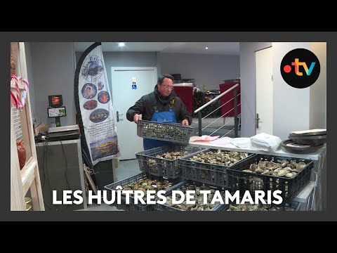 Les huîtres de Tamaris pour votre réveillon