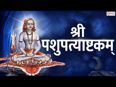 पशुपत्याष्टकम् | Pashupati Ashtakam Stotram | भजत रे मनुजा गिरिजा पतिम | Shiva Stotram | Shiva Song