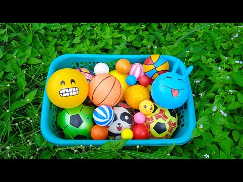 Mencari Bola Basket, Bola Karakter,Bola Warna Warni,Bola Sepak,Bola Kejutan,Ikan,Bebek,Mobilan,Balon