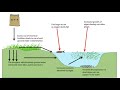 Eutrophication and Aquatic Ecosystems