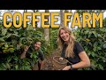 Coffee Culture and Processing Knowledge