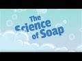 Understanding Soap Ingredients and Functions