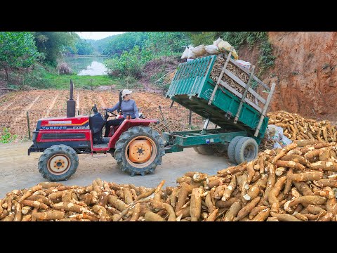 Use Trucks To Transport Cassava Help Villagers, Make Land For Growing Vegetables. Chuyen Bushcraft