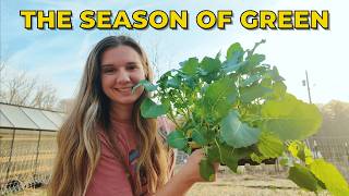 Planting Brassicas & Spring Garden Work | Rainy Days in the Greenhouse