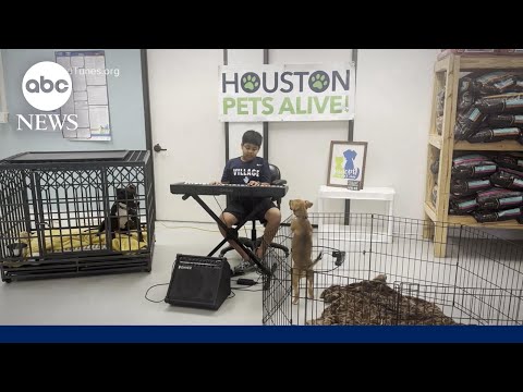 YouTube video thumbnail: Harnessing the Healing Power of Music for Shelter Animals