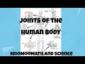 Understanding Synovial Joints