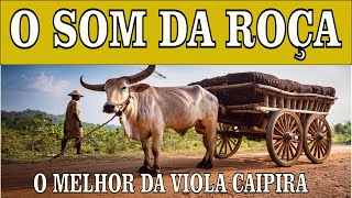🔴 MODÃO RAIZ 2025 -  Uma Seleção Com o Melhor Da Viola Caipira/Sertanejo Raiz  #top2025