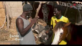 BANDE ANNONCE - LE REFLET