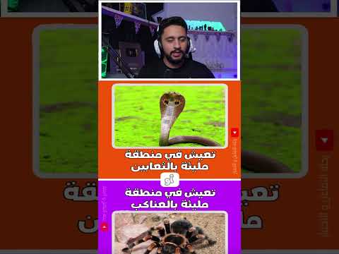 #لوخيروك  | تسافر اسرائيل ام تسافر دولة غامضة ؟! 😱💔
