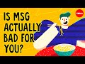Understanding MSG: History, Science, and Controversy