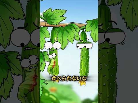 きゅうりのトゲの秘密！新鮮さを見分けるサインとは？