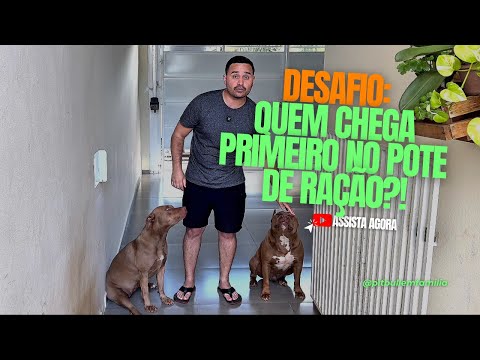 QUEM É MAIS RÁPIDO  , THOR OU JADE ? #DESAFIO #assista