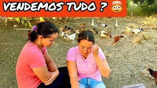 NÃO TEVE OUTRO JEITO😞DIANTE DA SITUAÇÃO VAMOS VENDER💲ALGUNS ANIMAIS😭