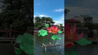 PHỐ CỔ HOA LƯ SÁNG