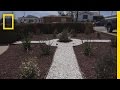 Water Conservation and Drought-Tolerant Landscaping