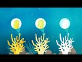 Coral Reefs and Their Ecosystem
