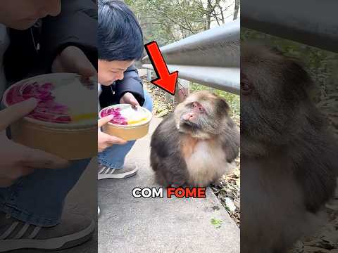 ELA ESTAVA COM MUITA FOME ๐ญ