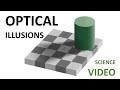 Perception vs. Reality in Optical Illusions