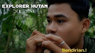 Sendirian Di Hutan Hujan Sumatra.!