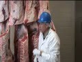USDA Beef Grading and Quality