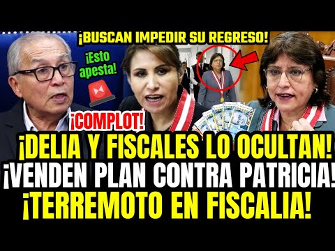 REVELADOR! CHAVARRY EXPONE A DELIA ESPINOZA Y SU PLAN CON GORRITI PARA IMPEDIR REGRESO DE PATRICIA
